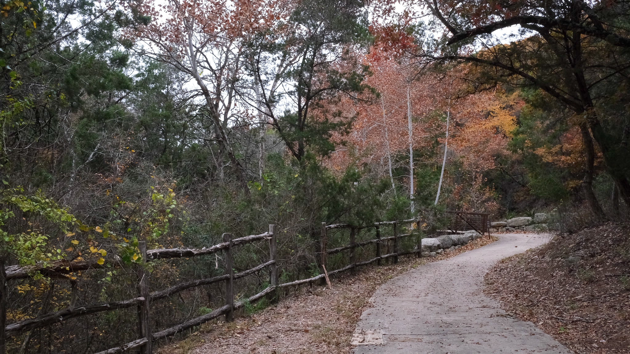 Forest path with rustic wooden fence autumn